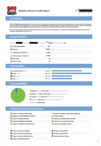 website structure audit report